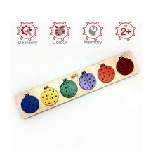 Load image into Gallery viewer, Skola Toys Pair the coloured beetles