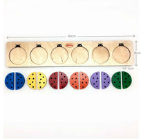 Load image into Gallery viewer, Skola Toys Pair the coloured beetles